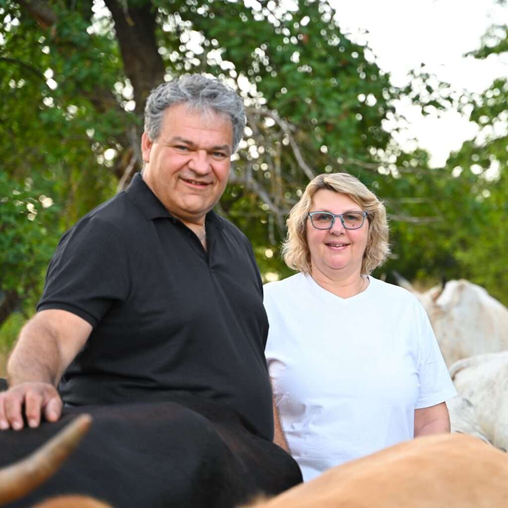 Bio-Zebu aus der Fränkischen Schweiz